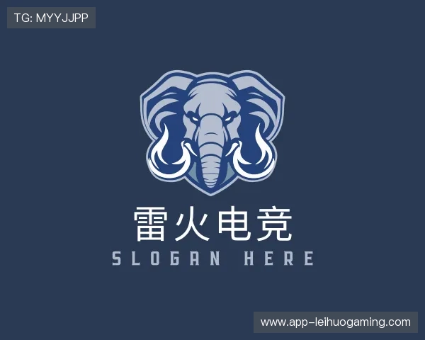 发现雷火电竞团队